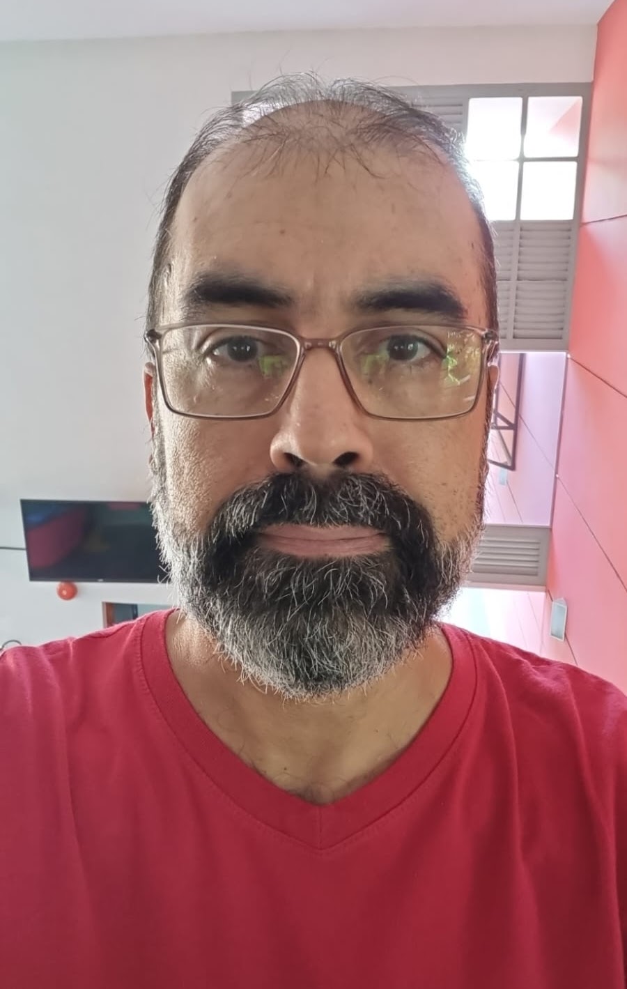 Foto do orientador, Professor Dr. André Souza Lemos